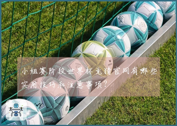 小组赛阶段世界杯竞猜官网有哪些实用技巧和注意事项？