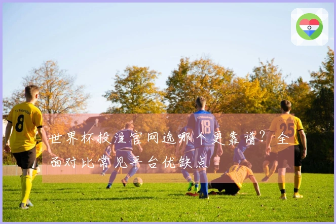 世界杯投注官网选哪个更靠谱？全面对比常见平台优缺点