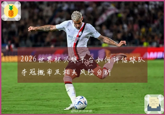 2026世界杯买球平台如何评估球队夺冠概率及相关风险分析