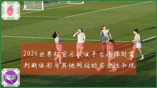 2026世界杯官方投注平台选择时需判断体彩与其他网站的安全性和规则差异