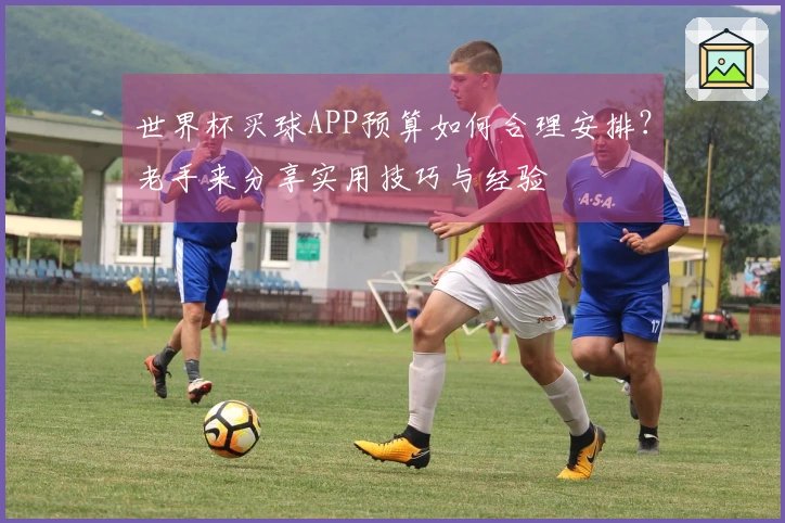世界杯买球APP预算如何合理安排？老手来分享实用技巧与经验
