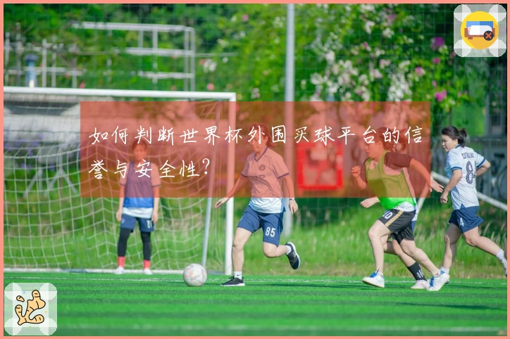 如何判断世界杯外围买球平台的信誉与安全性？